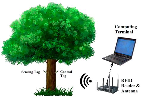 determining moisture content in wood by rfid tags|Living Tree Moisture Content Detection Method Based on  .